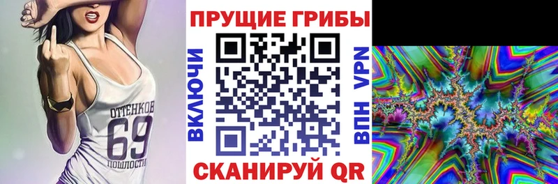 Псилоцибиновые грибы Magic Shrooms  где купить наркотик  Невьянск 